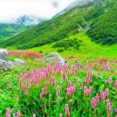 family-adventure-trek-india